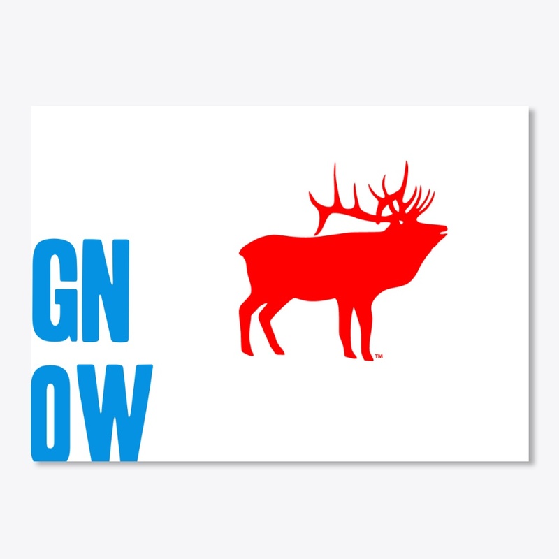 Gary Nesse's Outdoor World