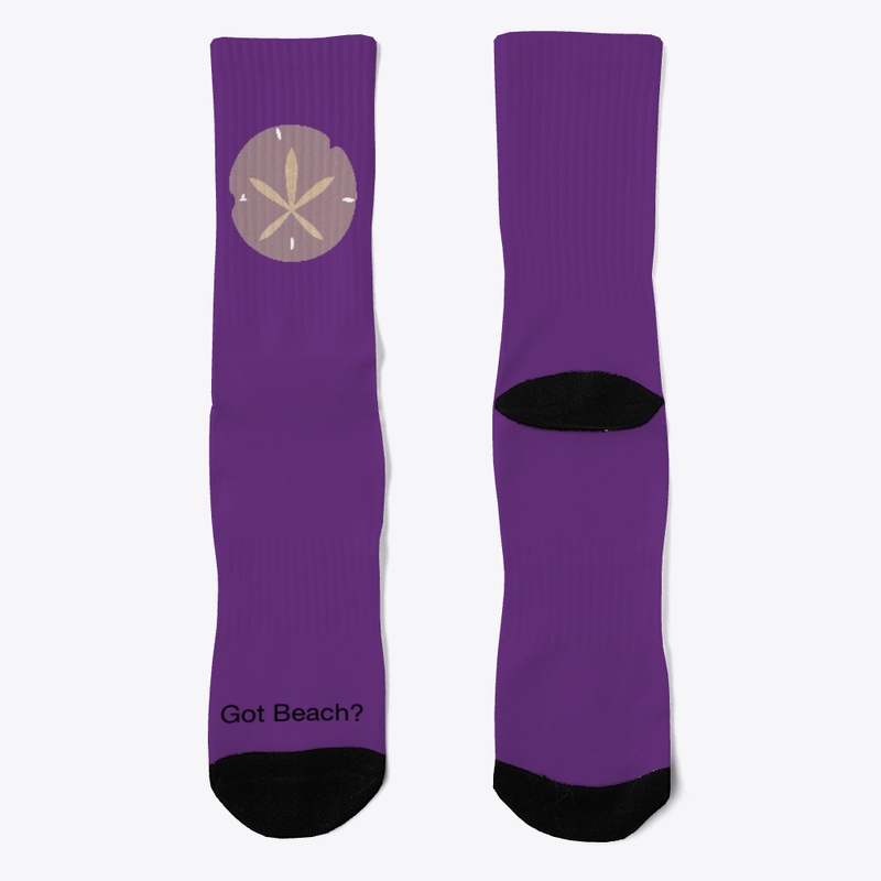 The Sand Dollar Got Beach?