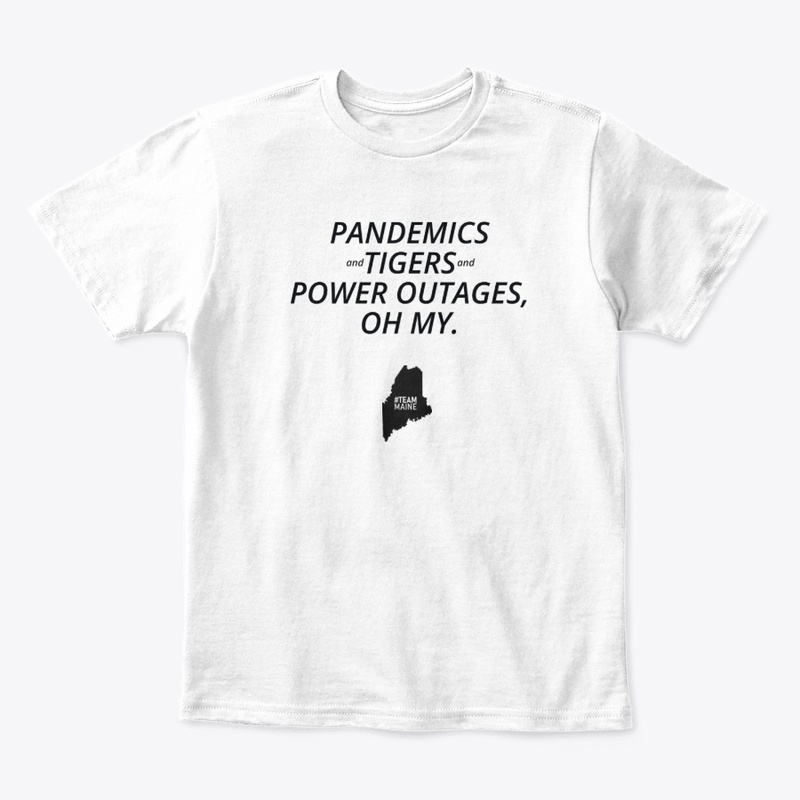 Team Maine -Pandemics Oh My (B)