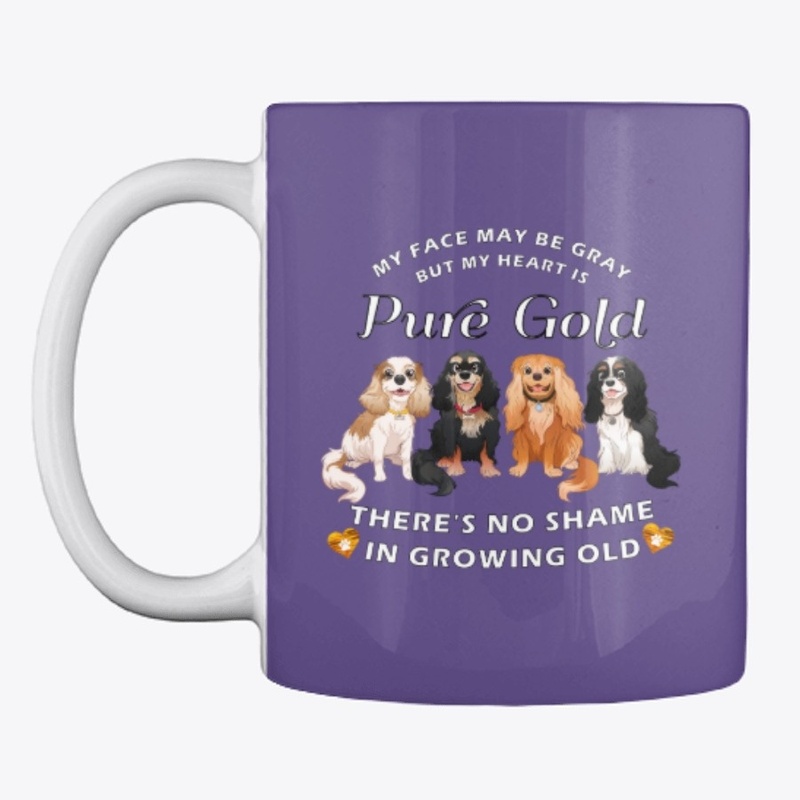 Senior Cavalier King Charles Spaniel 