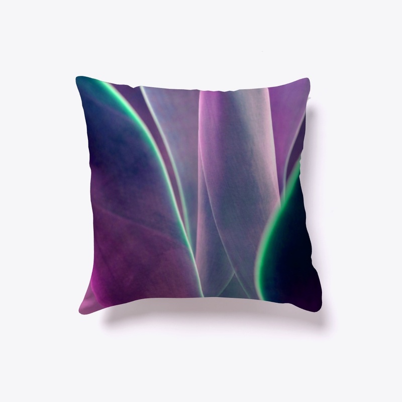 Indoor pillow