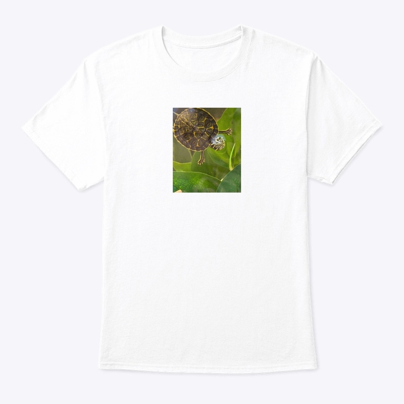 Turtle Vibes
