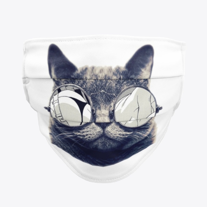 kitten with sunglasses