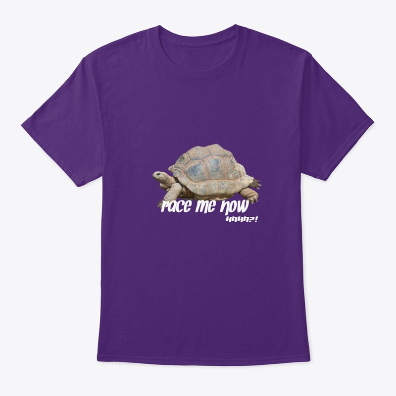 Tortoise race me now 