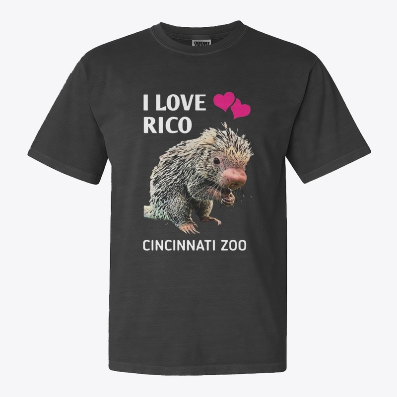 Limited Edition 0210255