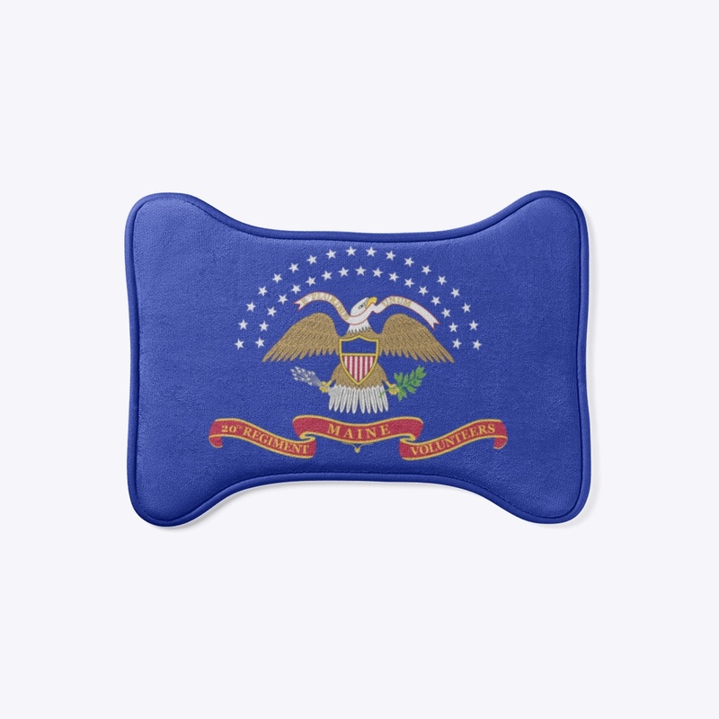 20th Maine Regiment (Civil War)