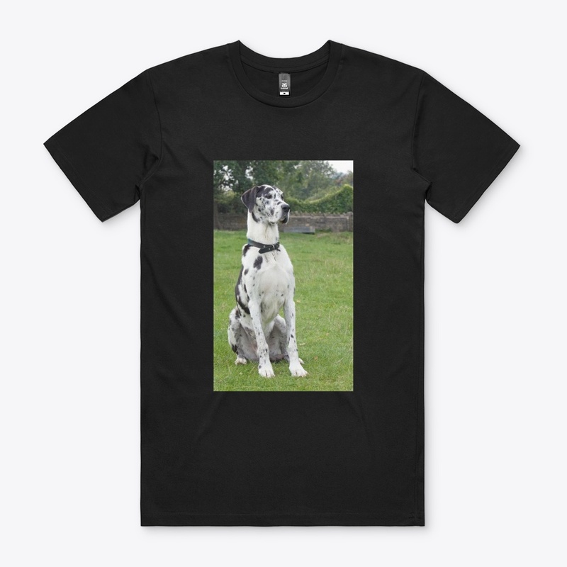 Great Dane T Shirt