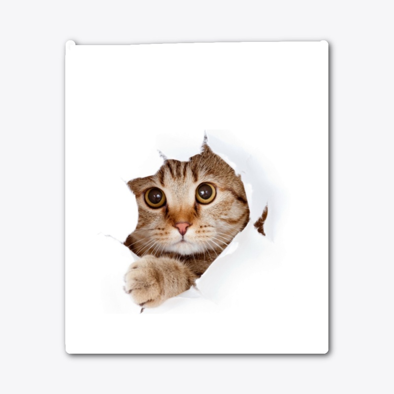 Cool Cat Vibes Design