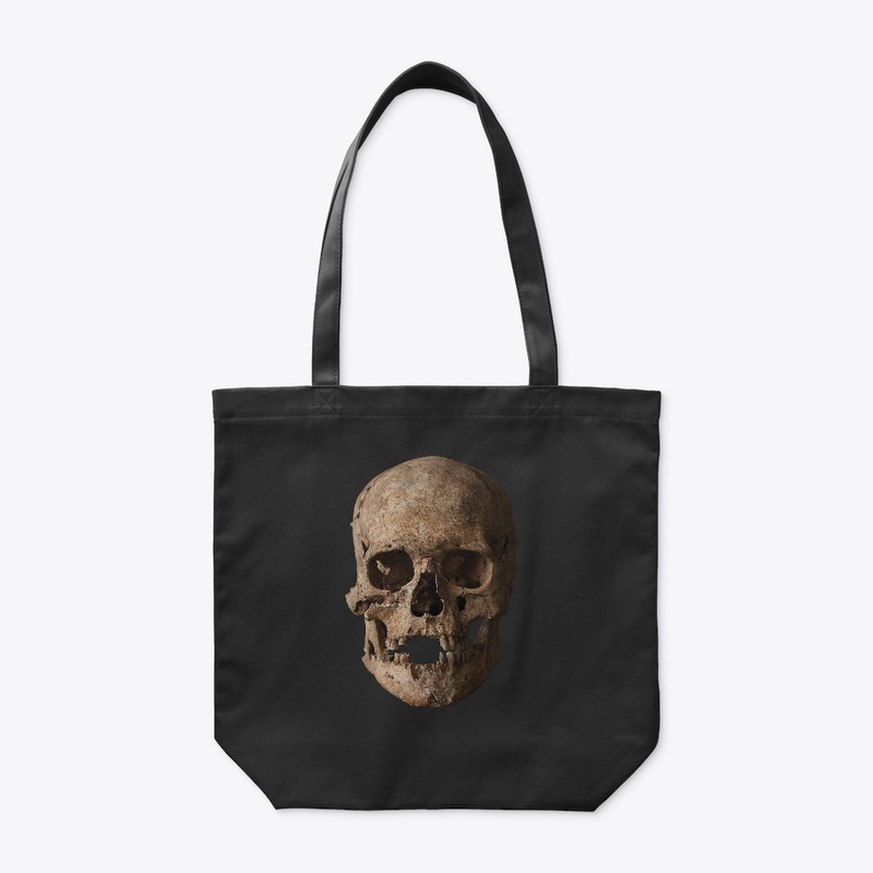 Old Weathered Skull Front