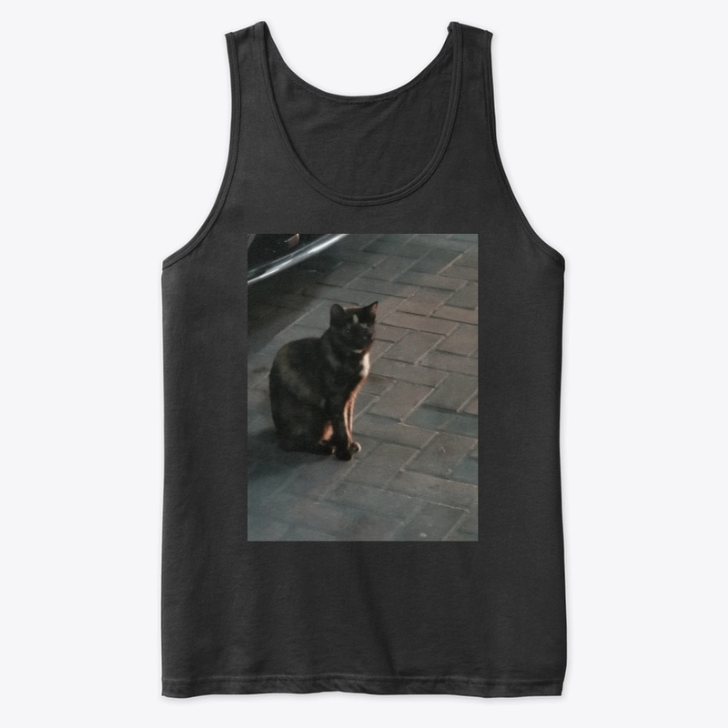 Cats lovers 2020