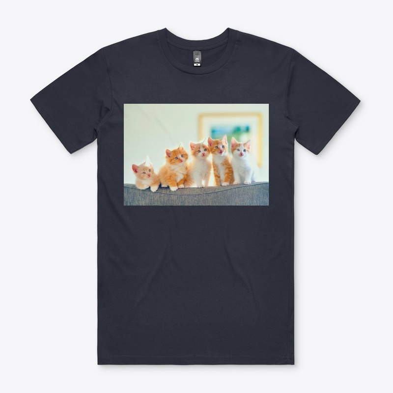 Cute Kittens