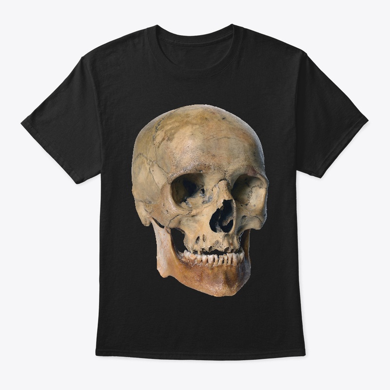 Old Weathered Skull