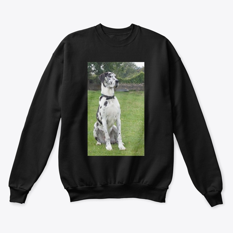 Great Dane T Shirt
