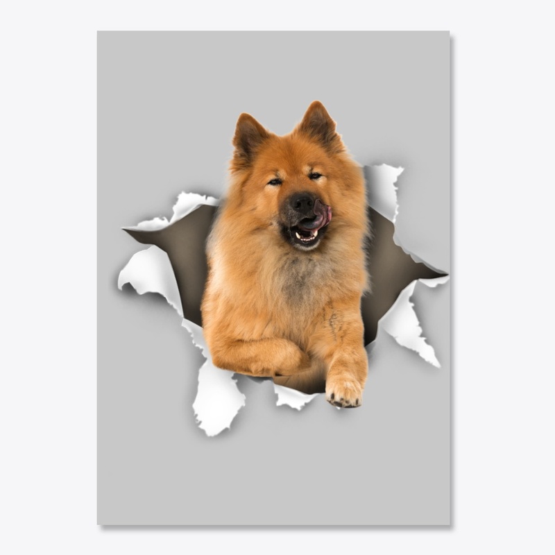 Eurasier Torn Paper