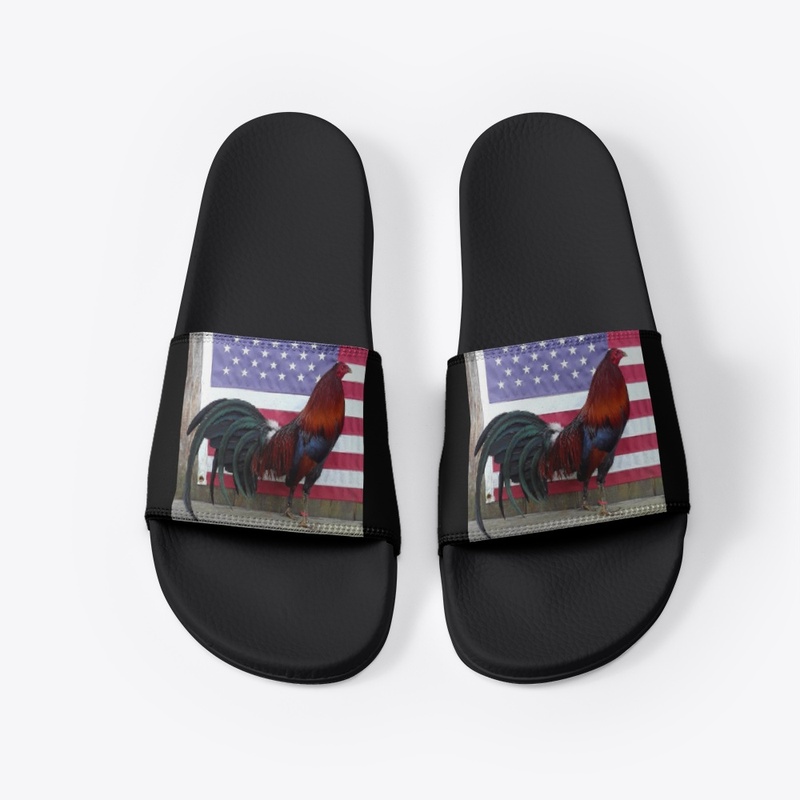 The American Rooster Slide's