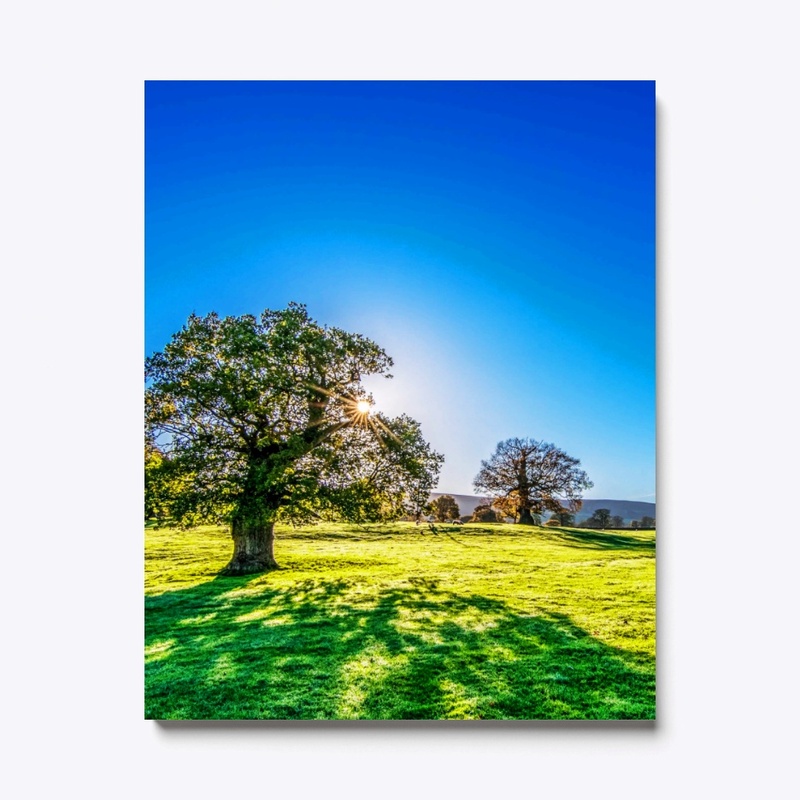 MIND RELAXING NATURE CANVAS
