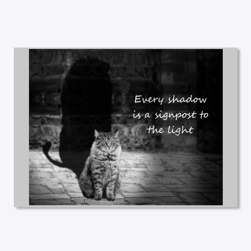 Shadow 