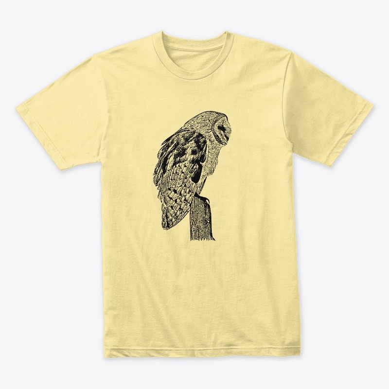 Birdwatching and Barn Owls