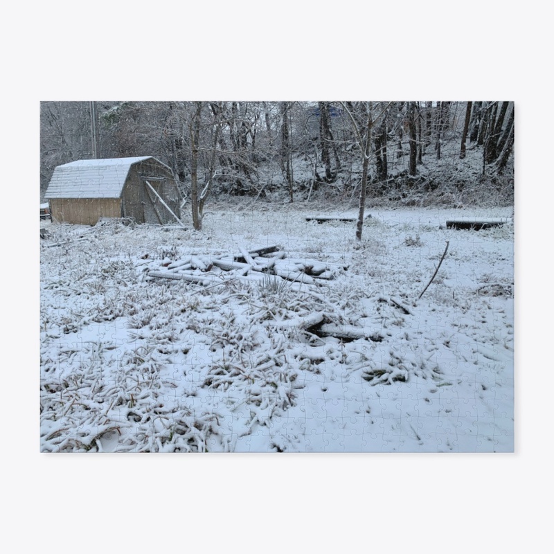 Winter Shed
