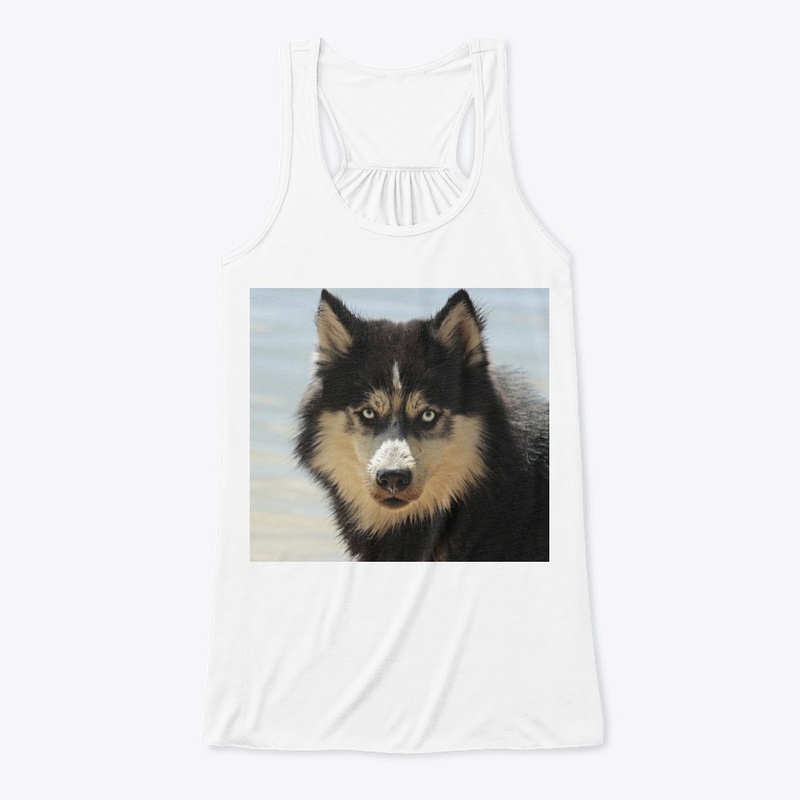 Dog 🐕