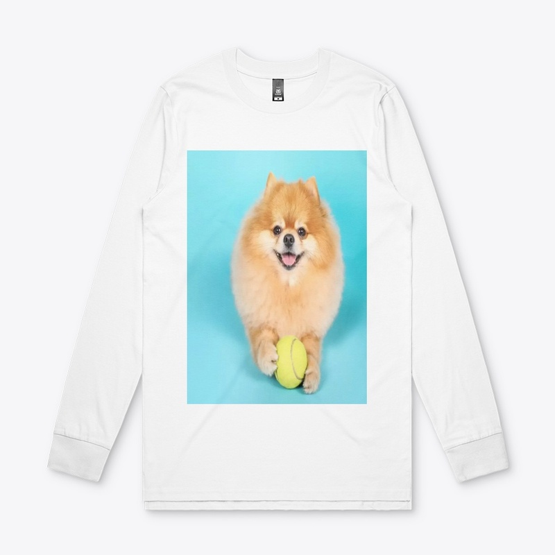 cute dog