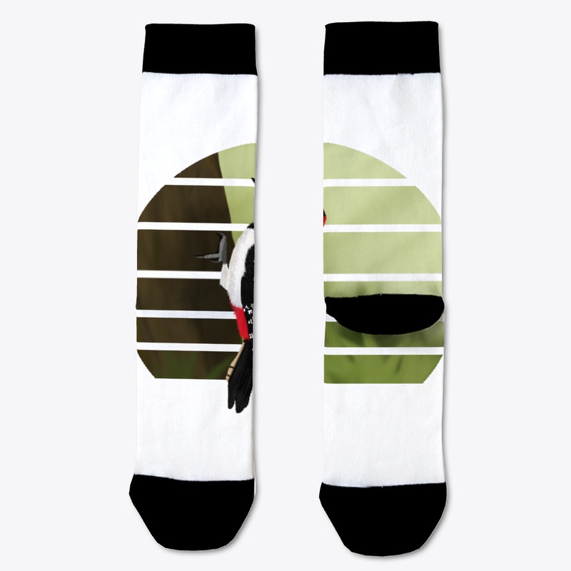 jz.birds Woodpecker Bird Animal Art