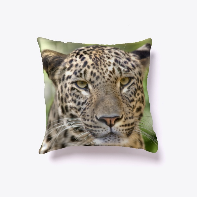 Leopard face