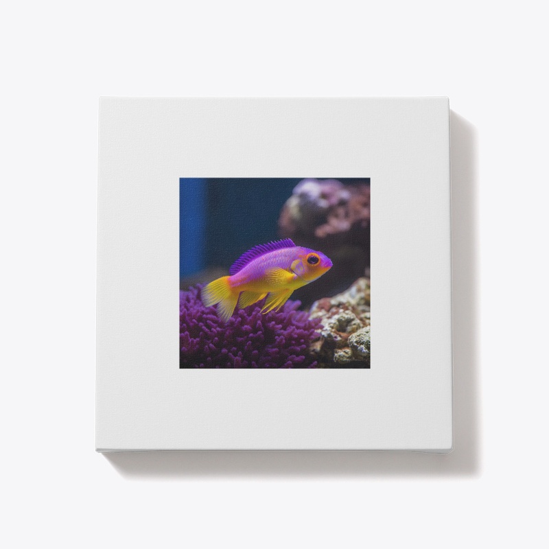 fish my love