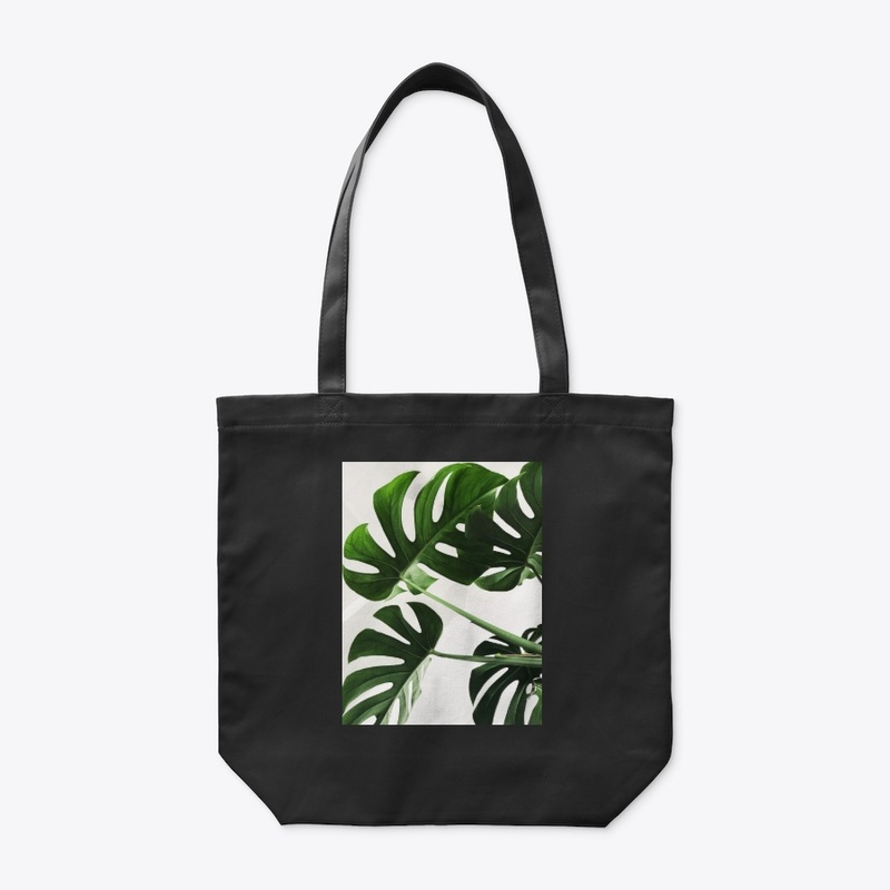 Palm Paradise