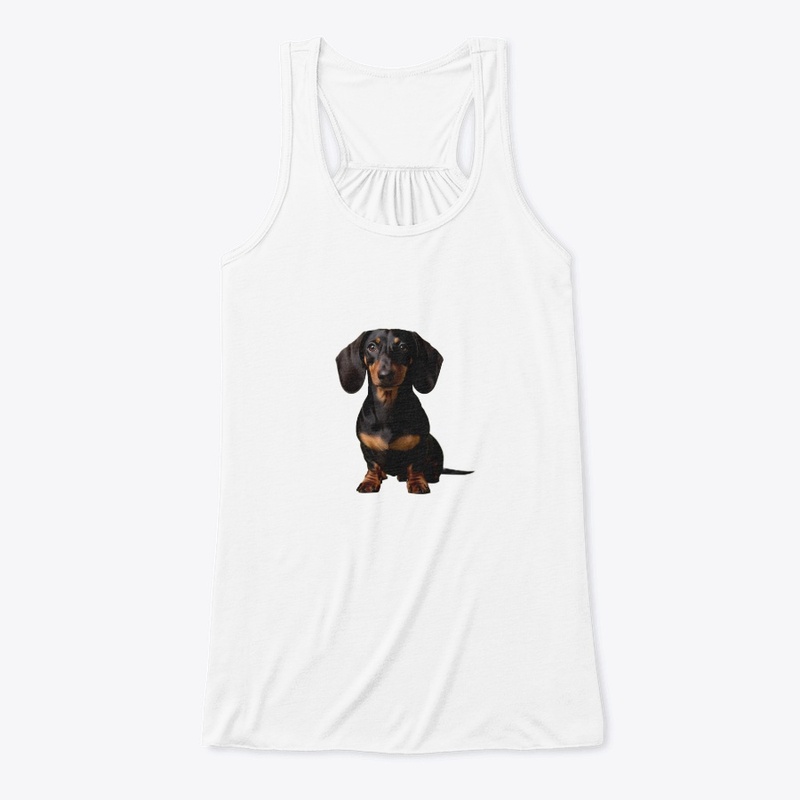 Dachshund