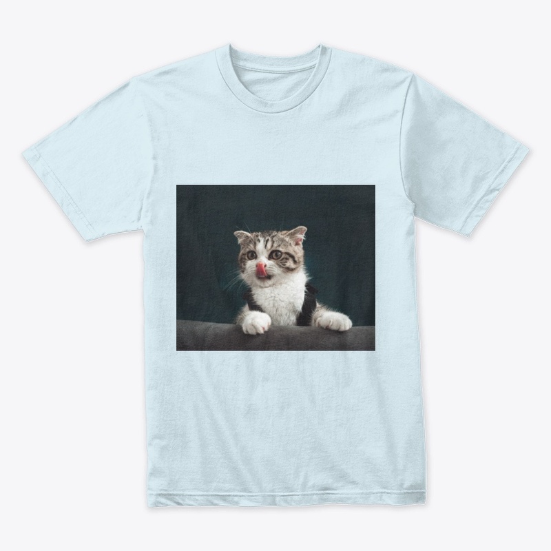 cute cats t-shirts