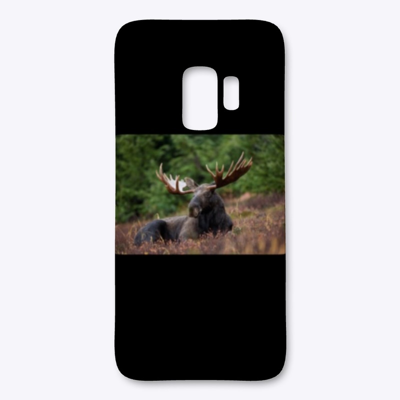 Buy Today Alaska Accessories.