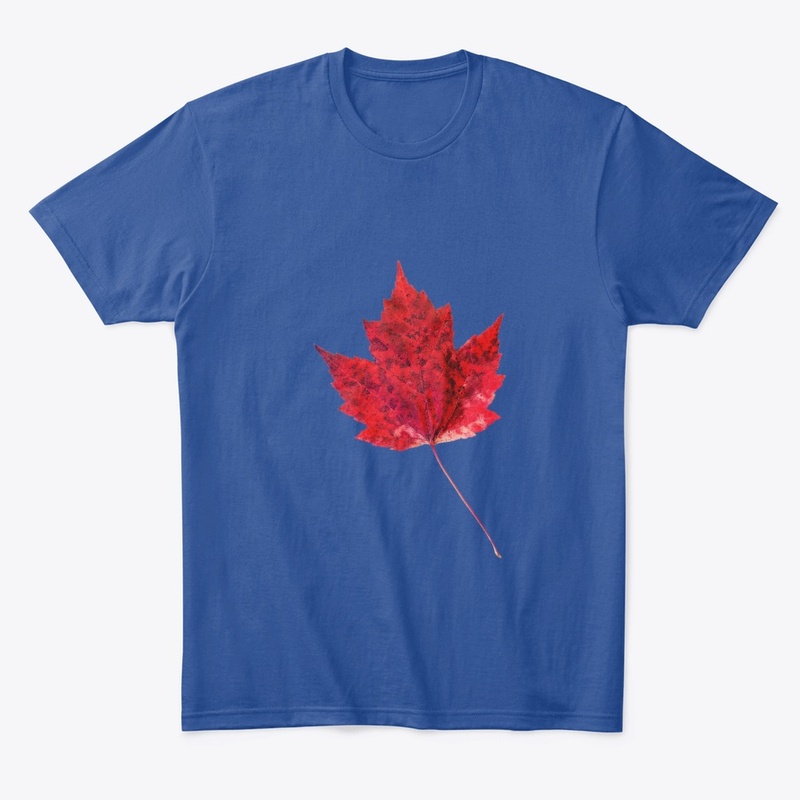 Vibrant Red Maple Leaf .