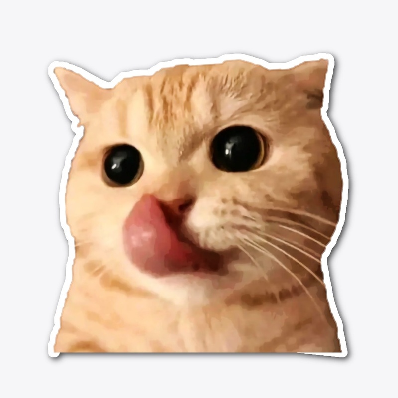 Hungry Cat