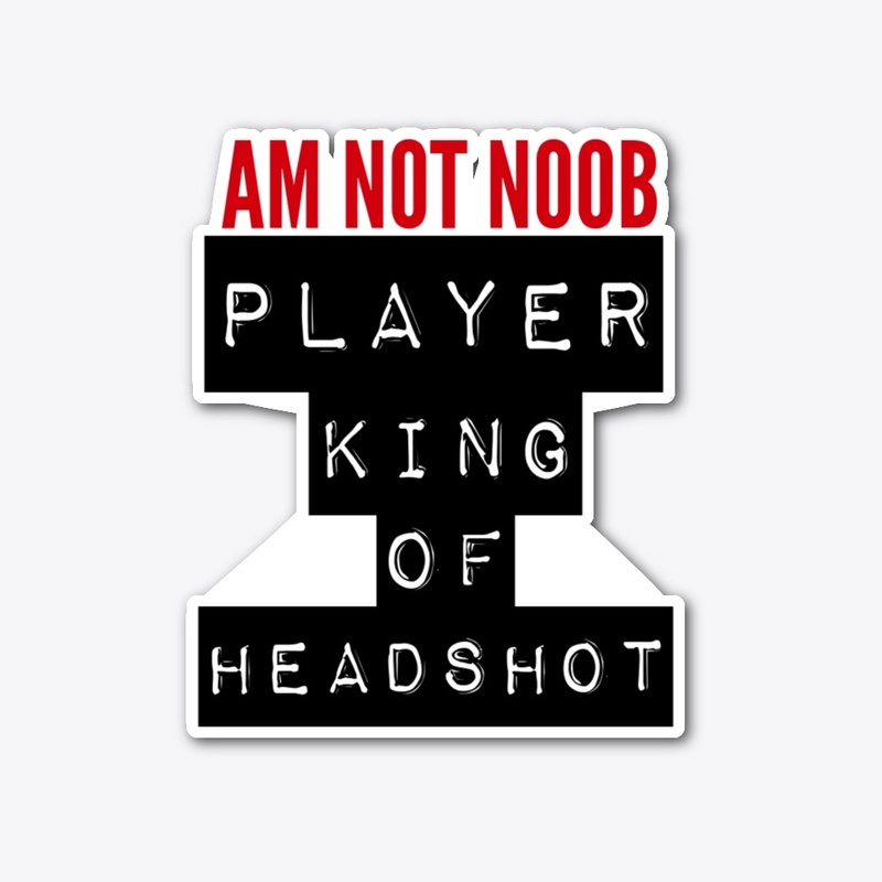 AM NOT NOOB 