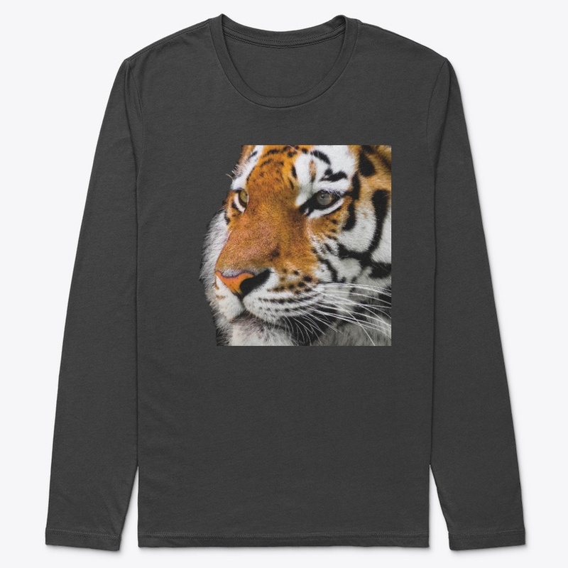 Tigre de bengala