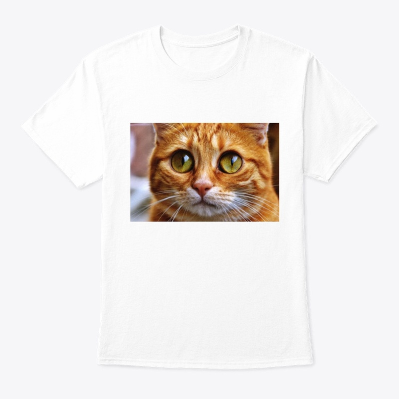 Camiseto GATO TIERNO / SWEET CAT