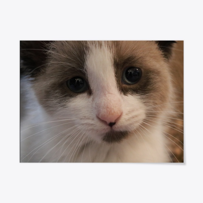 Baby Latte