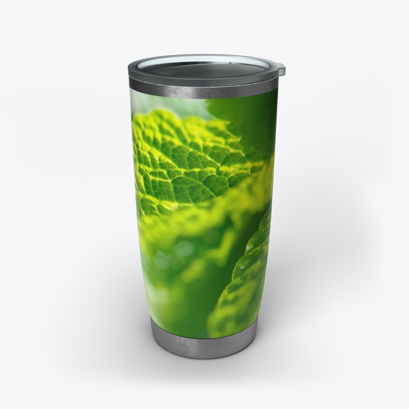 Green leaves in nature