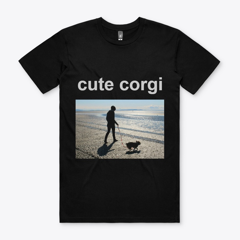 cute corgi fashion