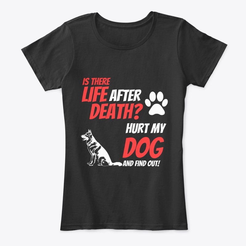 Is there Life After Death?