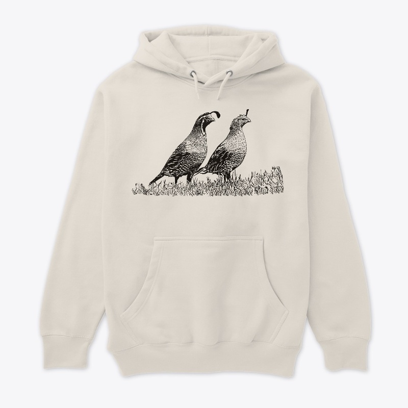 California Quail Birdwatching