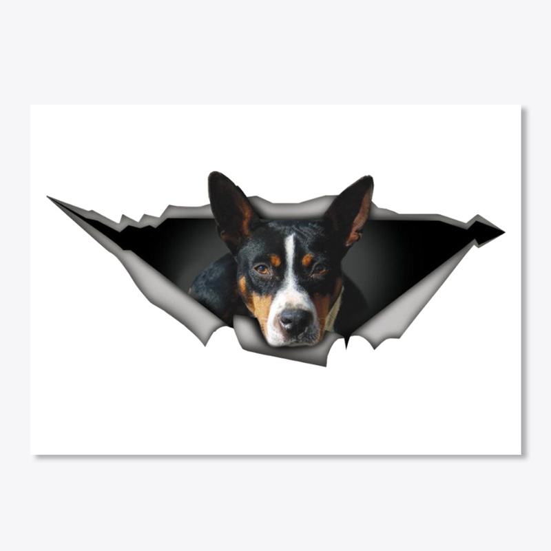 rat terrier