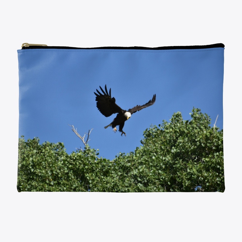 Eagle Landing