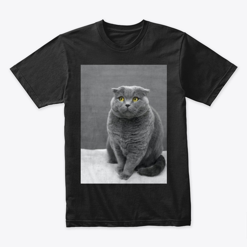 I LOVE MY CAT