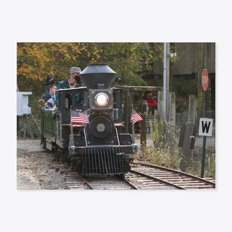 Park Train 1