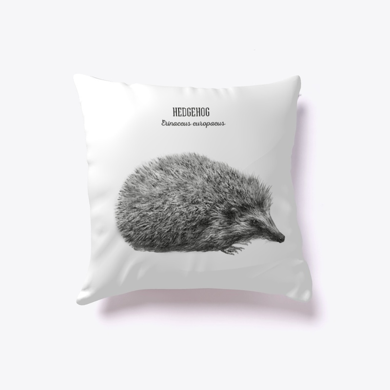 Hedgehog - Erinaceus Europaeus