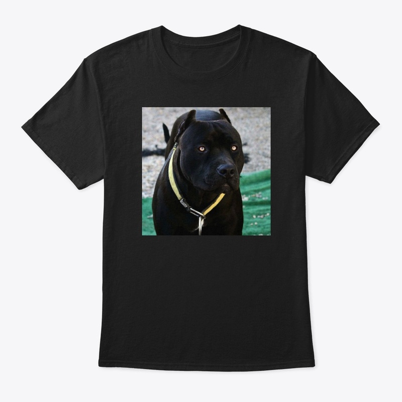 Pitbulls Black