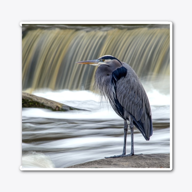Great Blue Heron at Waterfall Mug