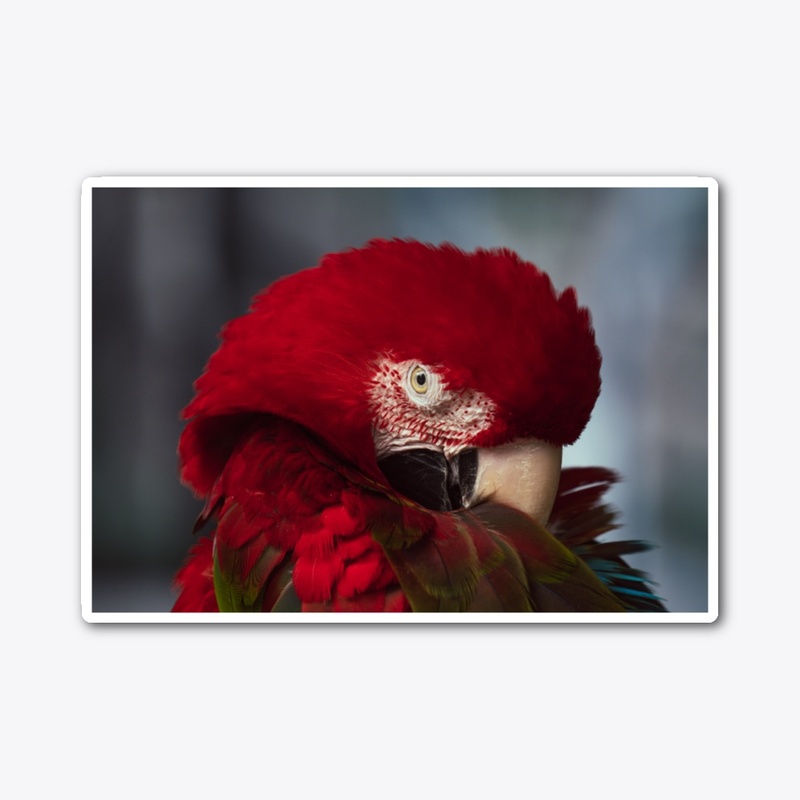 Birds of a feather 2